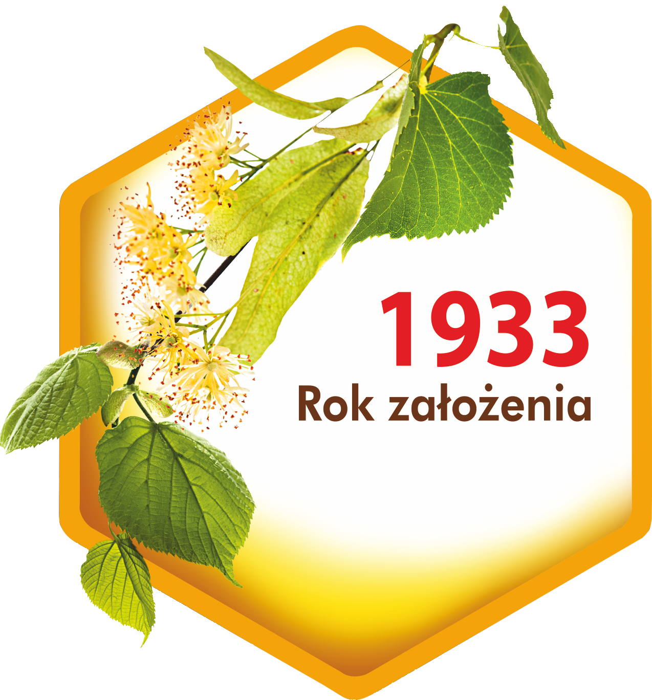 Koło Pszczelarzy w Kętach